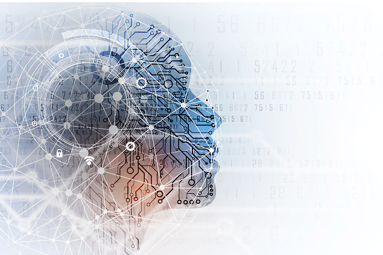 AI Profile of head/brain