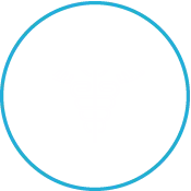 All 50 States + DC and Puerto Rico